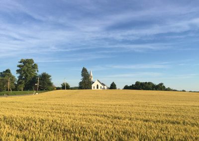 The Harvest