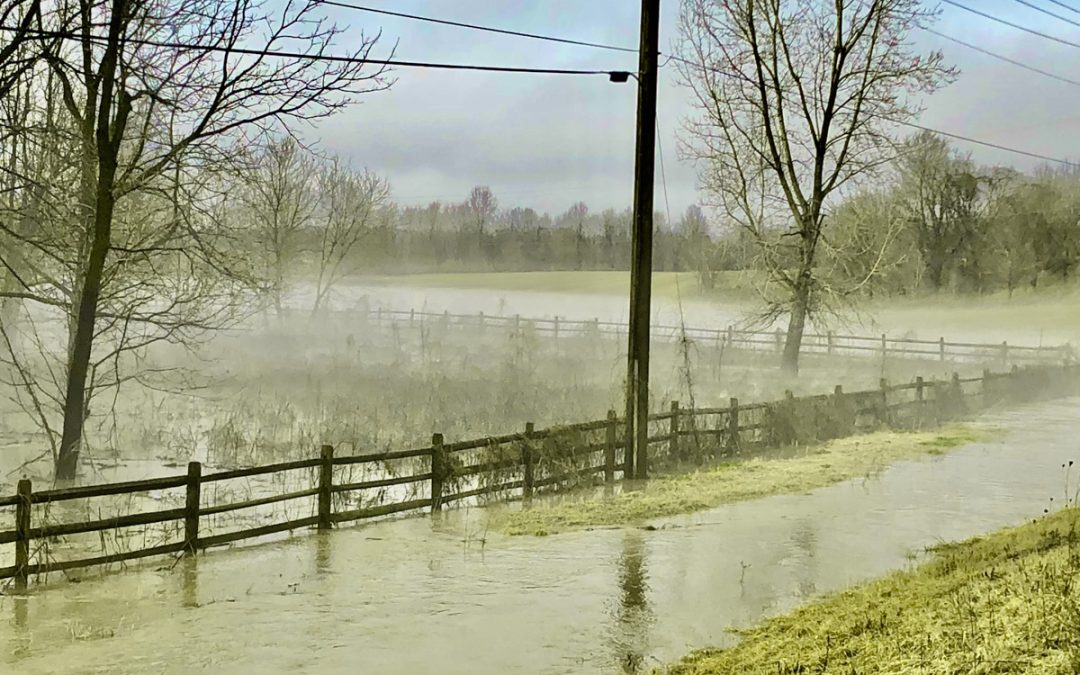 Help! I’m Drowning!